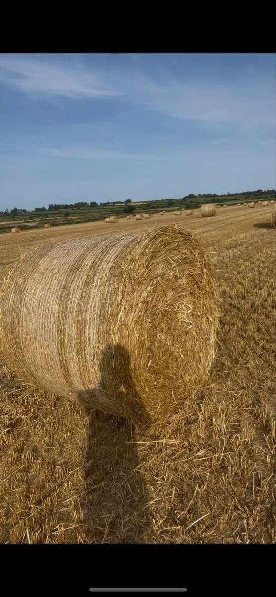 Hay and straw for sale - Image 1