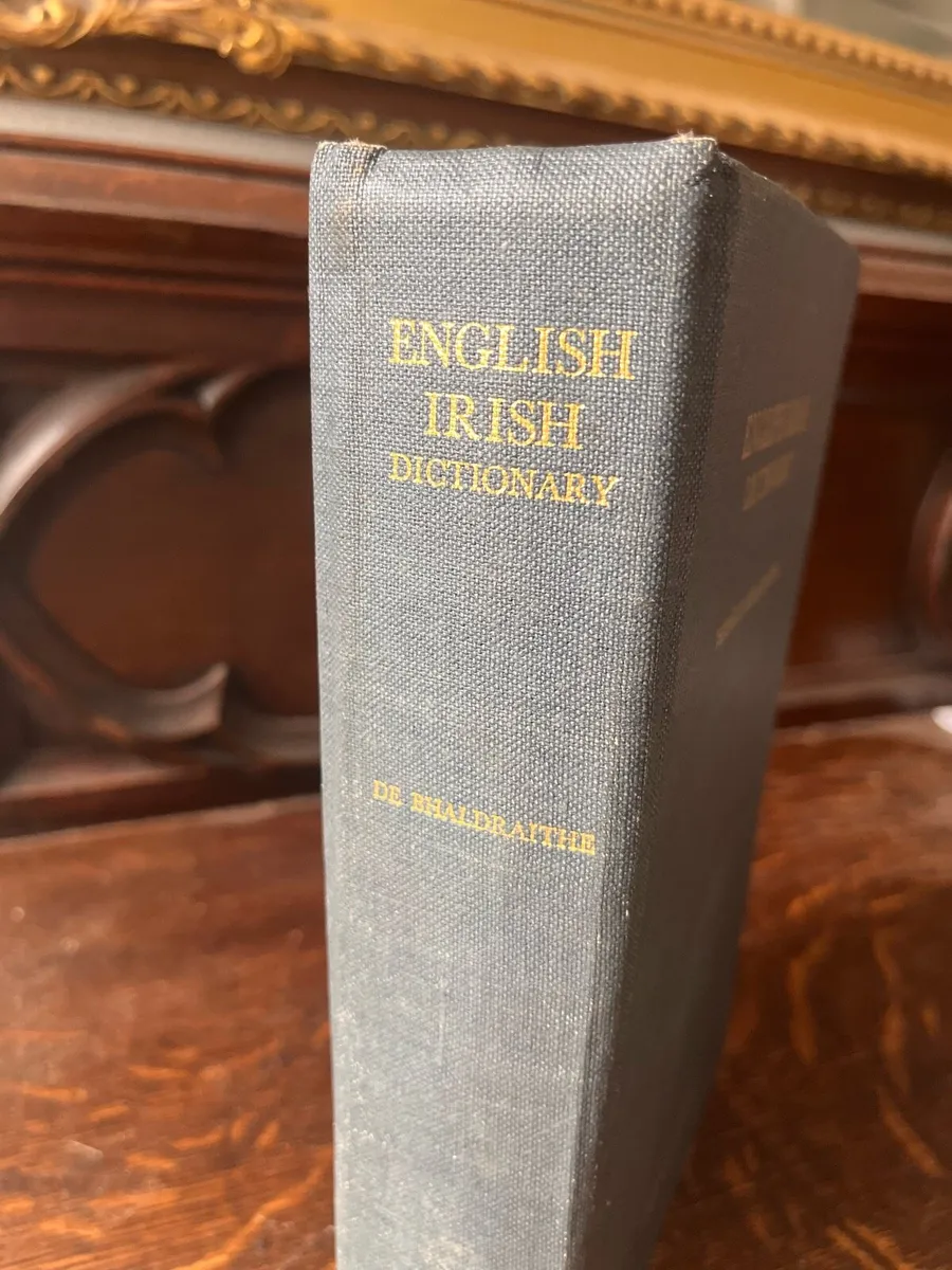 Irish Dictionary - Image 2