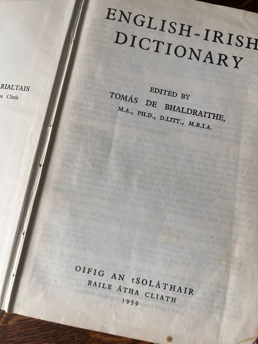 Irish Dictionary - Image 3