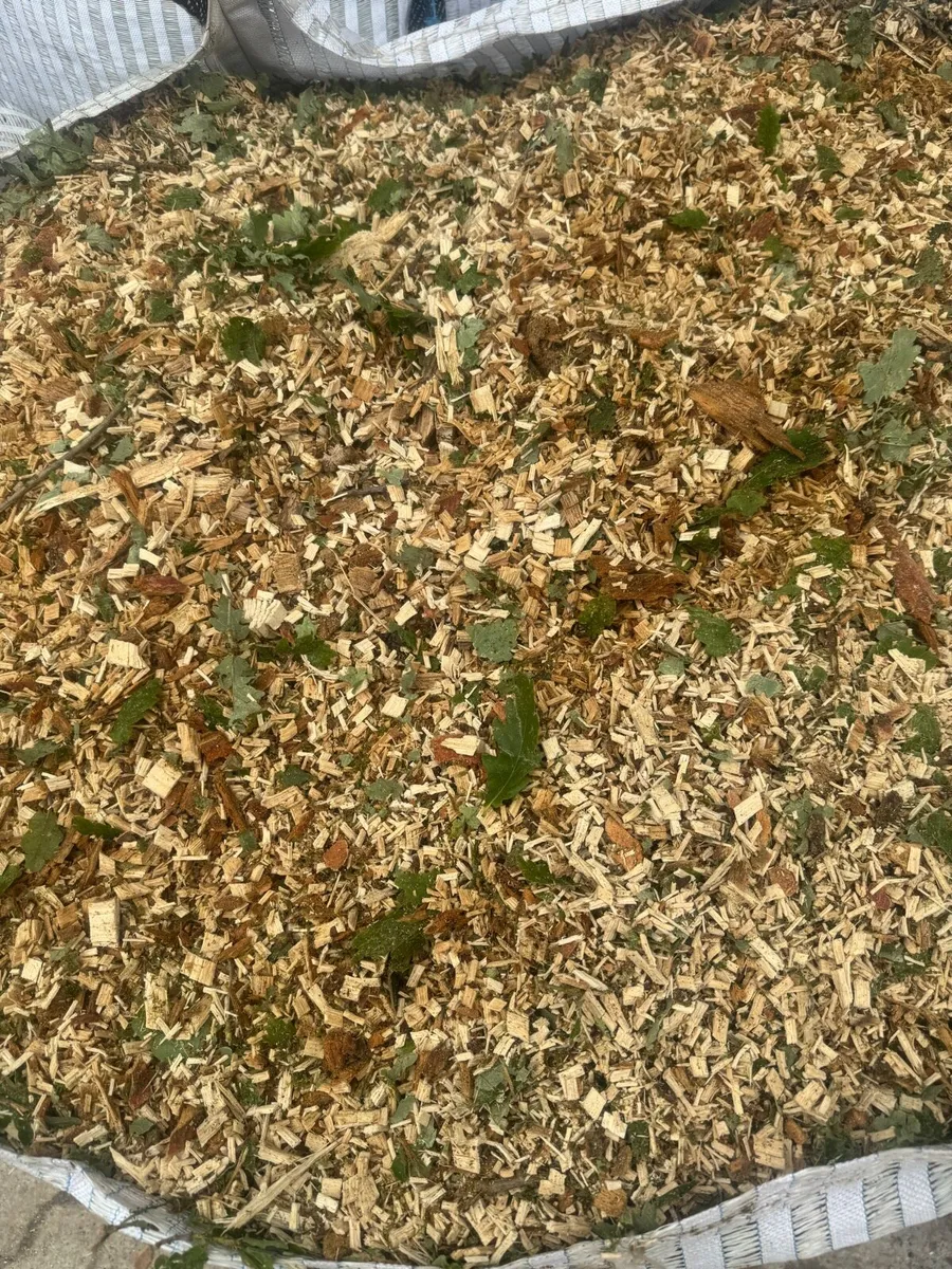 *Dry Stored* Fresh Oak & Beech Woodchip - Image 2