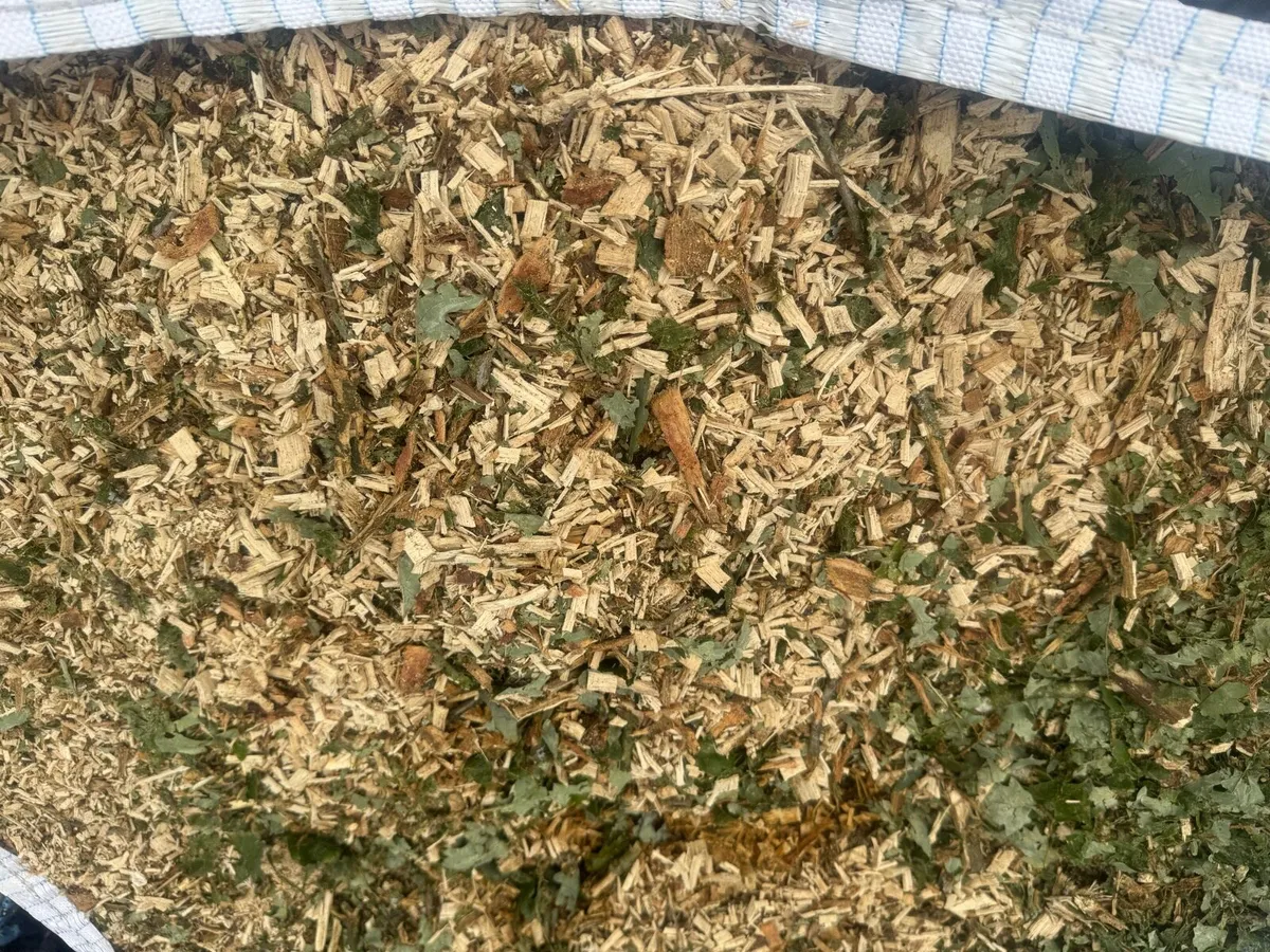 *Dry Stored* Fresh Oak & Beech Woodchip - Image 4