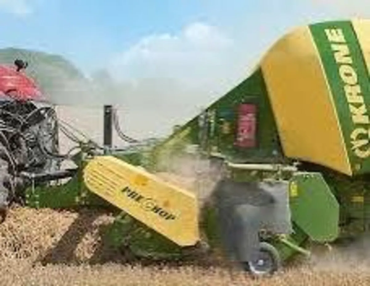Pre chopped wheat straw in 8x4x3s - Image 1