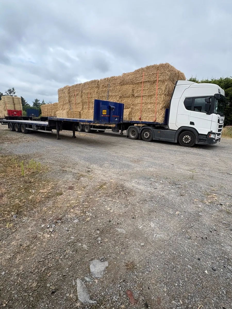 Pre chopped wheat straw in 8x4x3s - Image 2