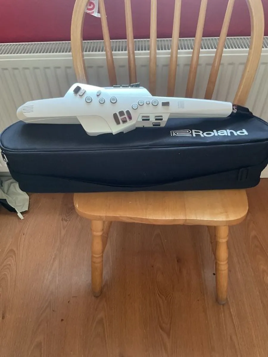 Roland ae10 aerophone.with its own fully padded Roland case - Image 1