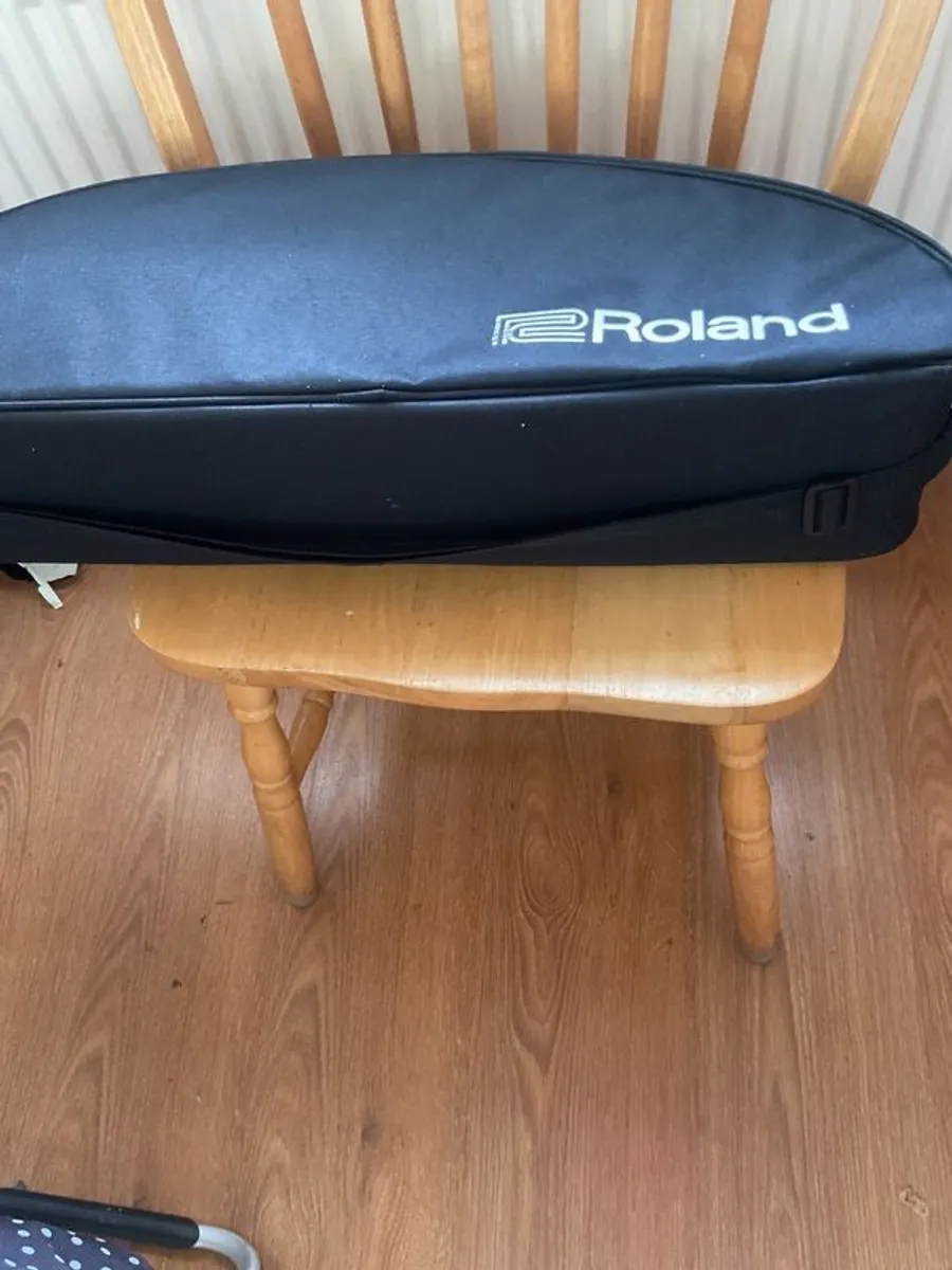 Roland ae10 aerophone.with its own fully padded Roland case - Image 3