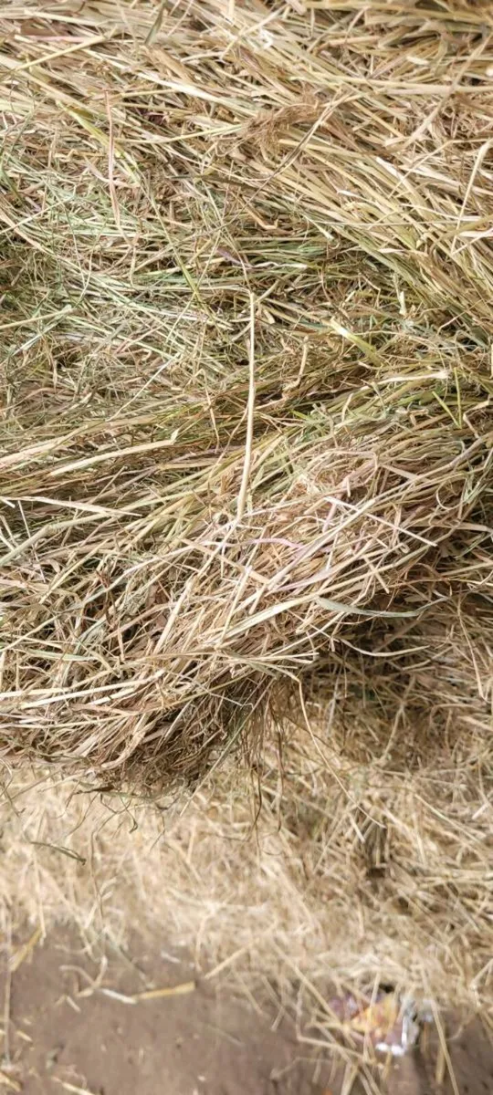 Hay Bales 2026 - Image 1