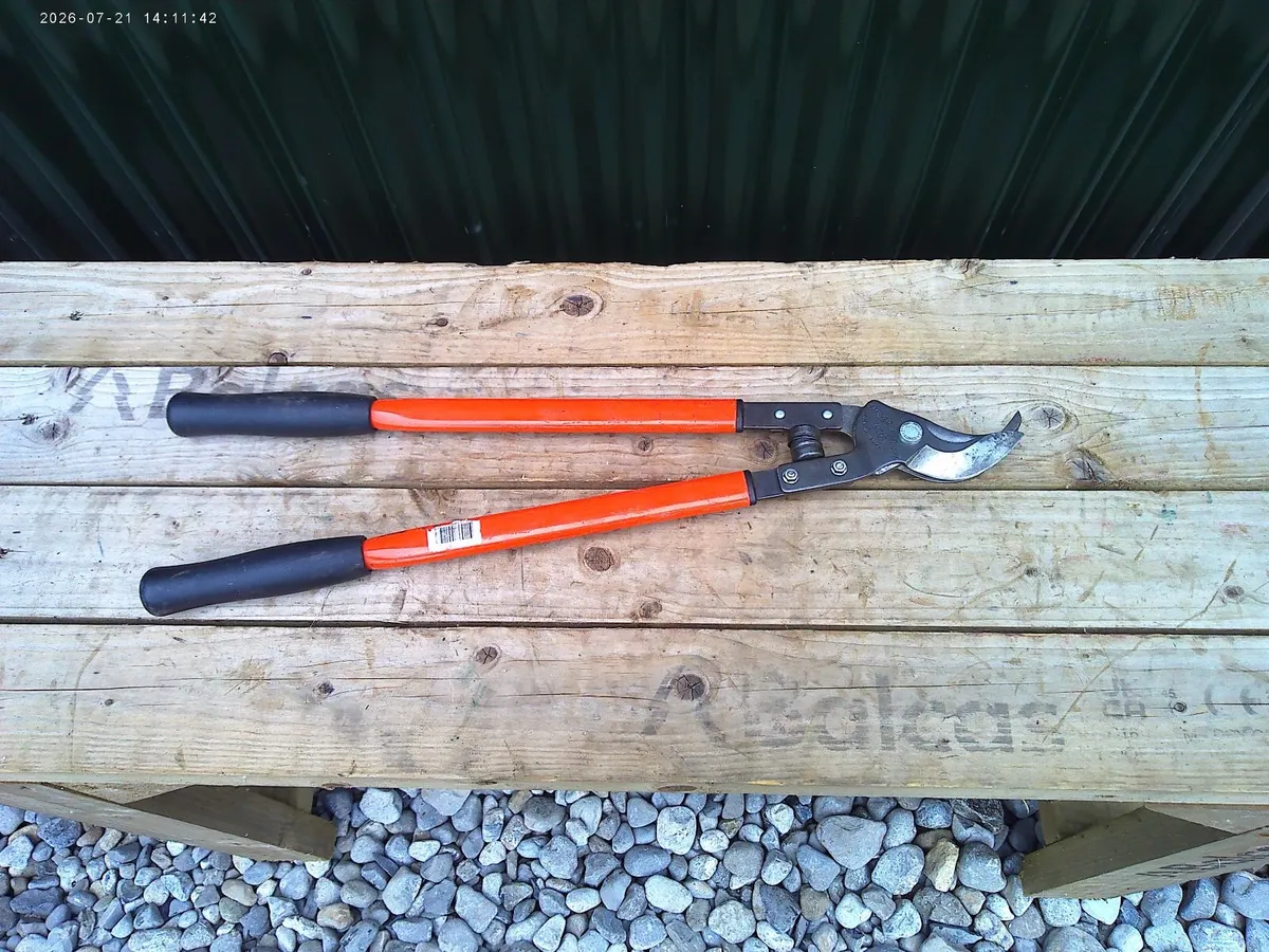 Pruners - Image 1