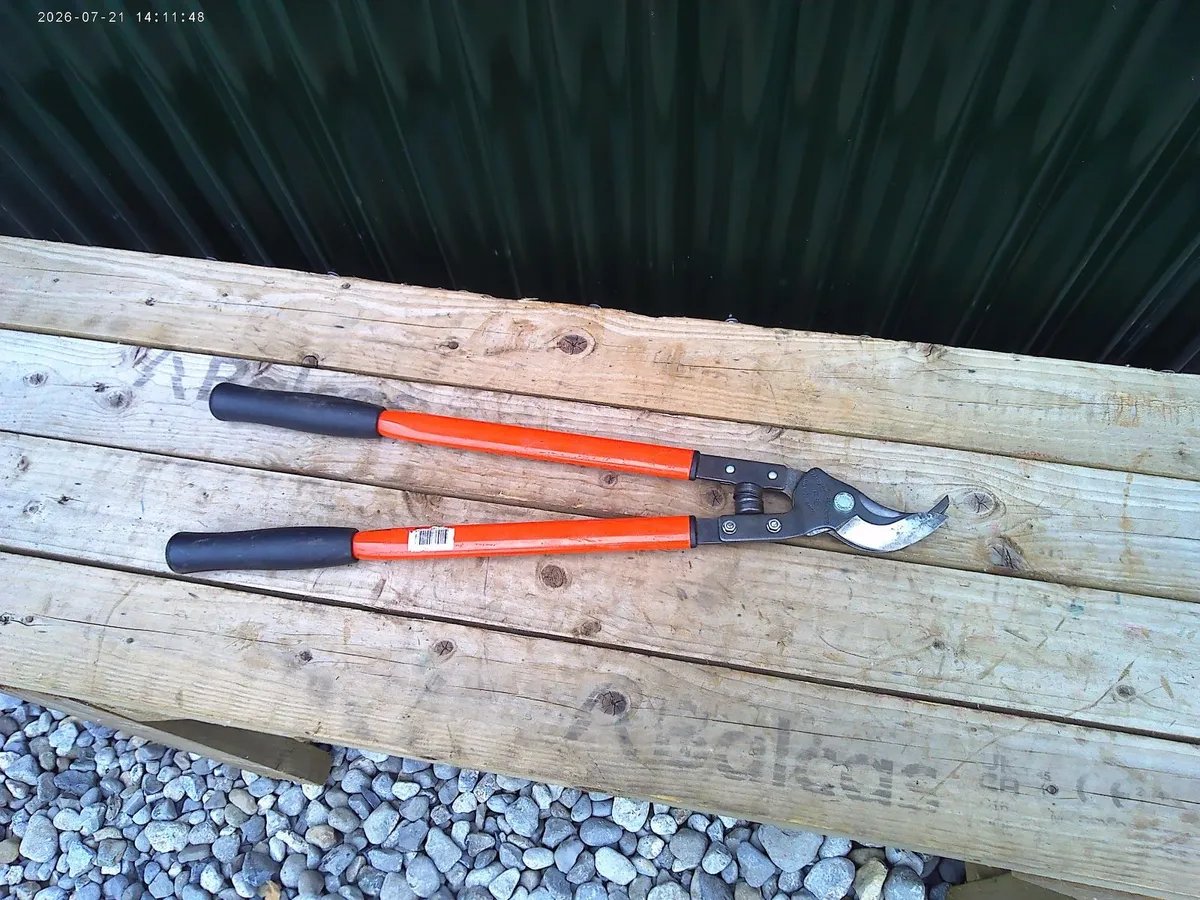Pruners - Image 2
