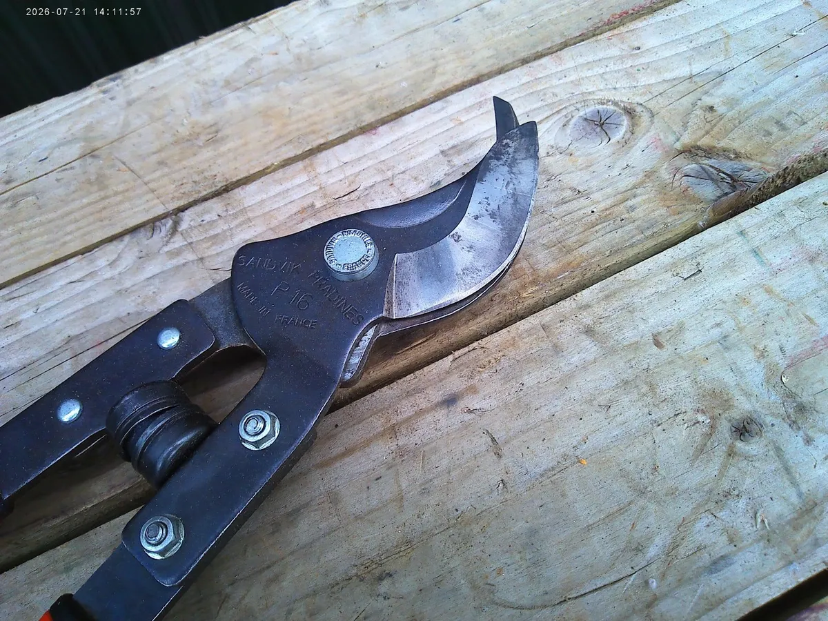 Pruners - Image 3