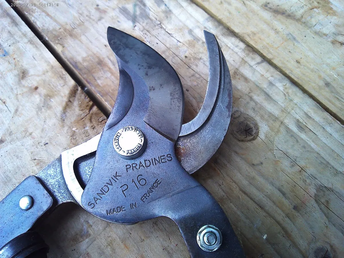 Pruners - Image 4