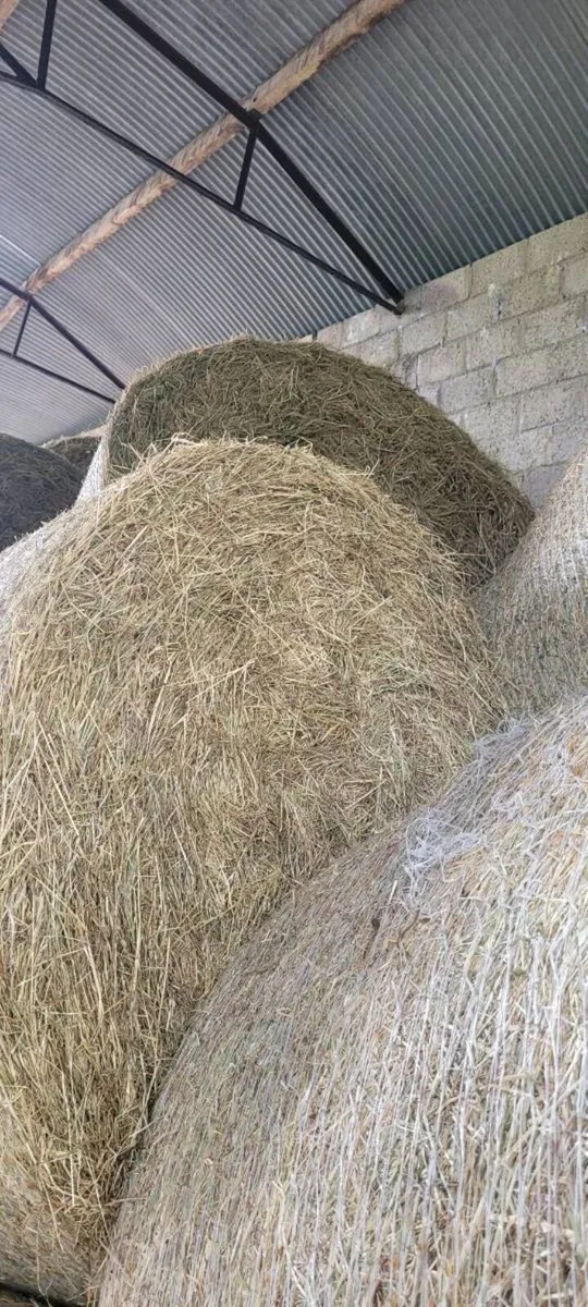 Hay Bales 2026 - Image 2
