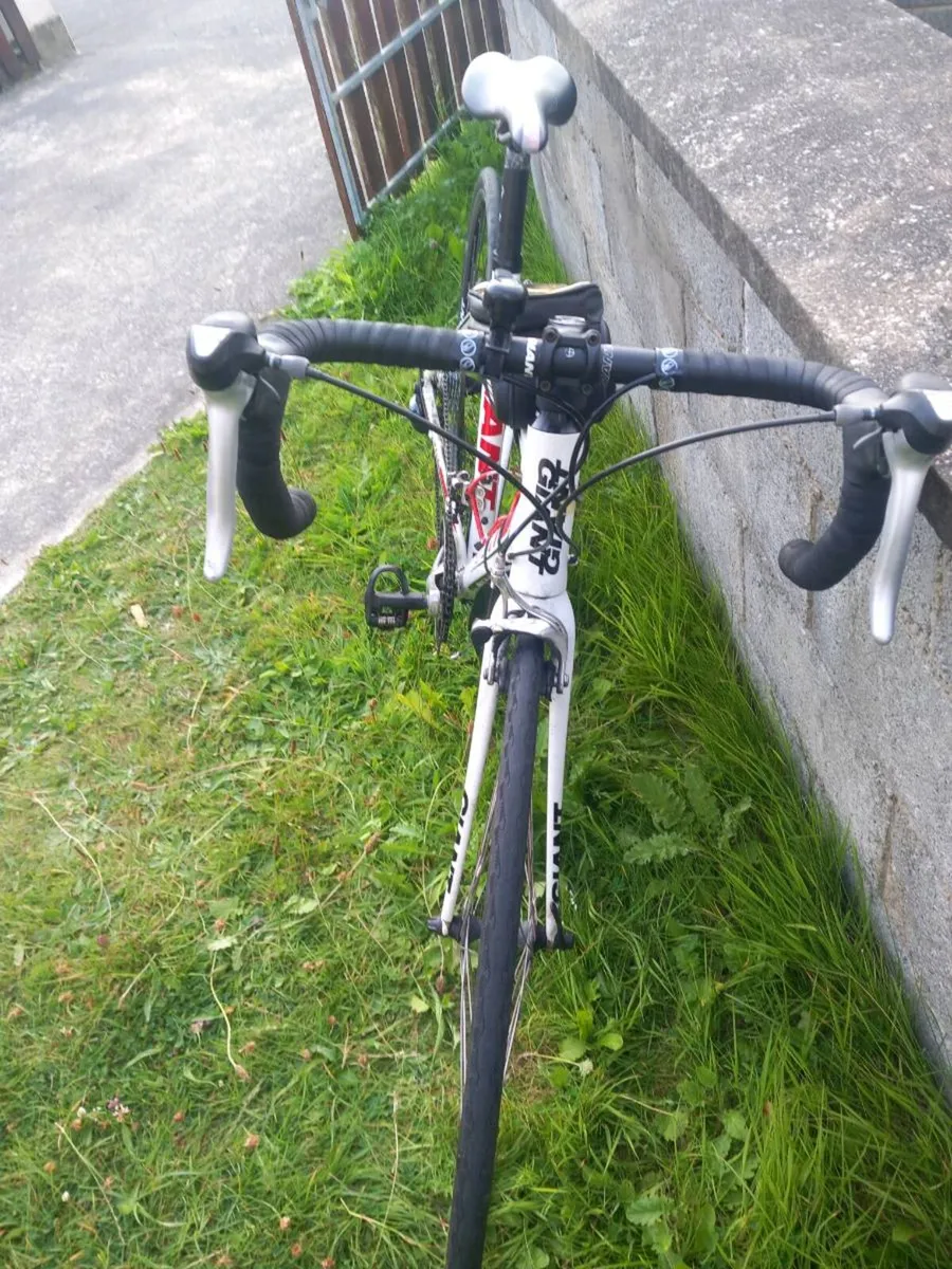 Road Bike - Image 4