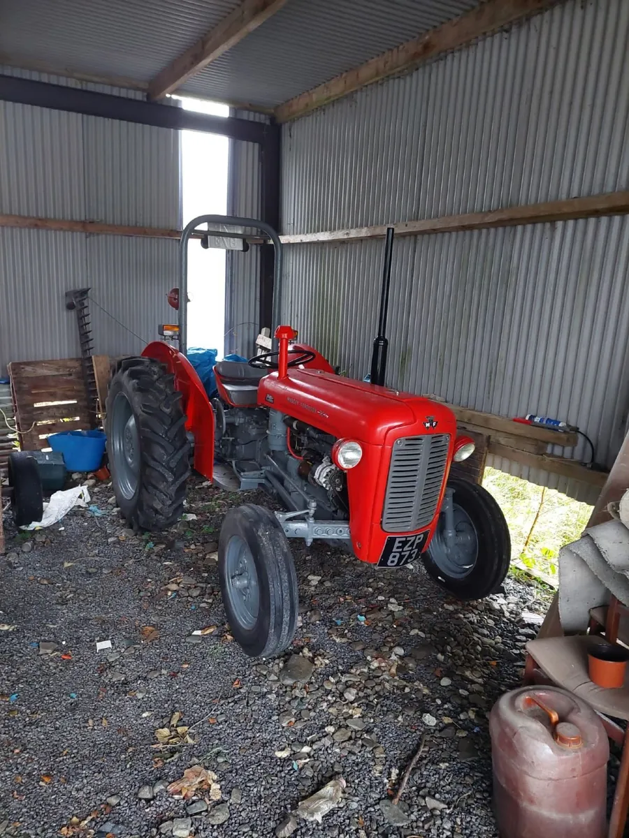 Massey Ferguson 35X 1965 - Image 2