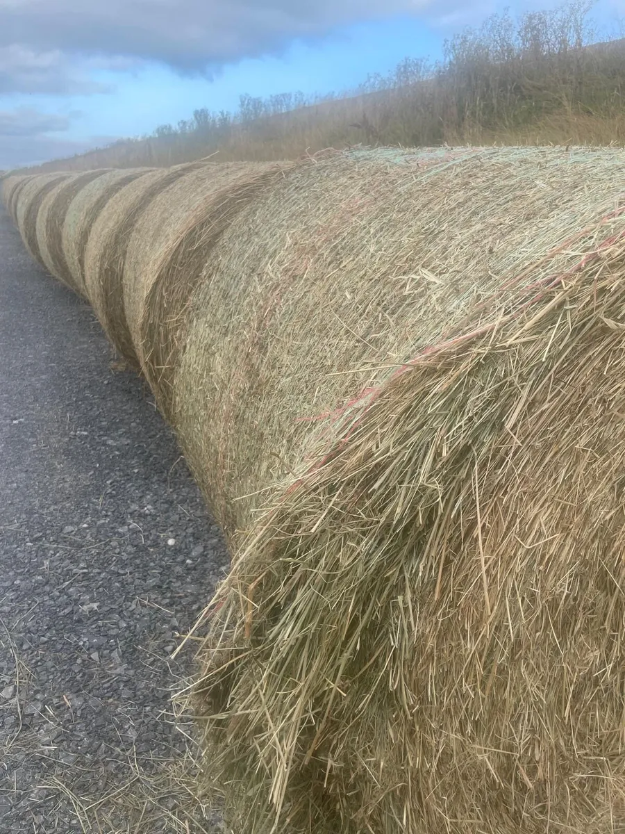 Hay Bales