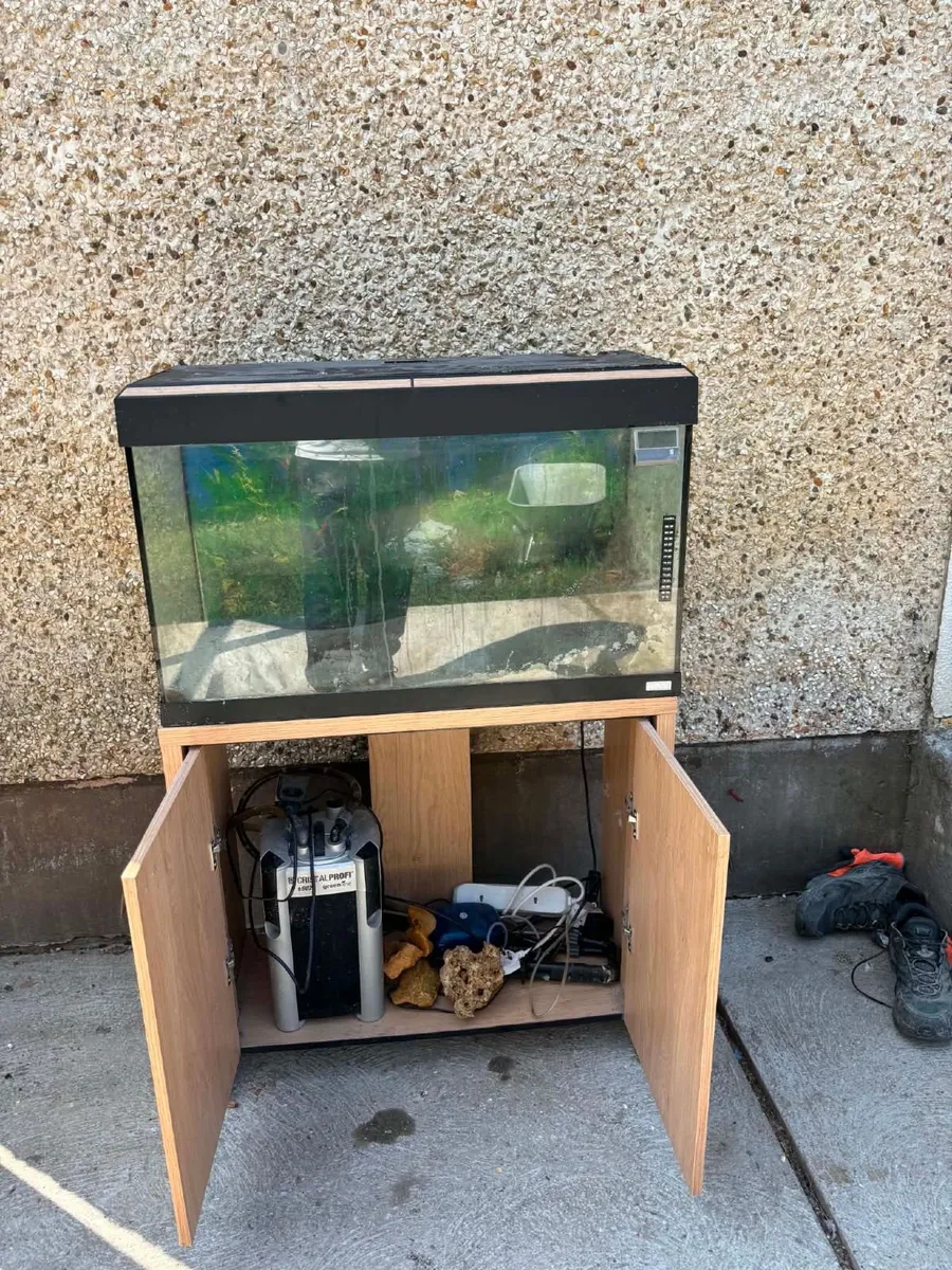 FISH TANK - Image 1