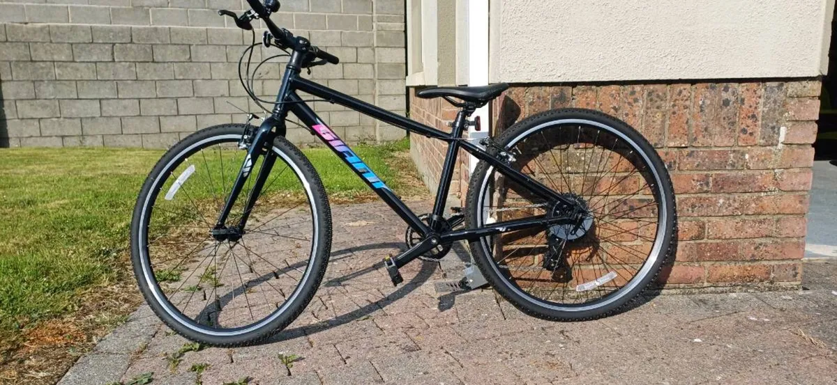 Bicycle - Image 1