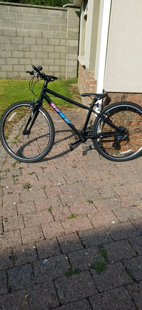 Bicycle - Image 2