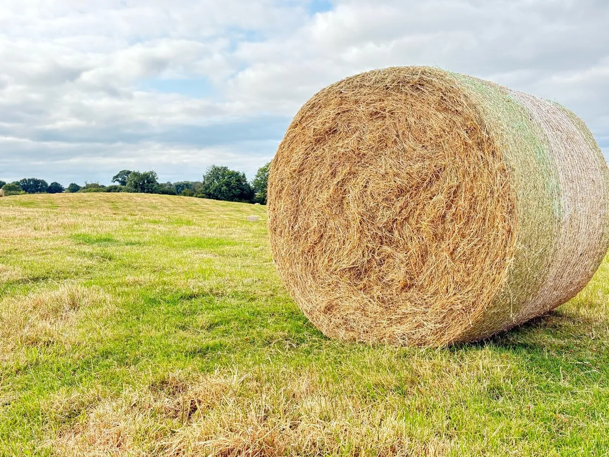 Organic Round Hay Bales - Image 1