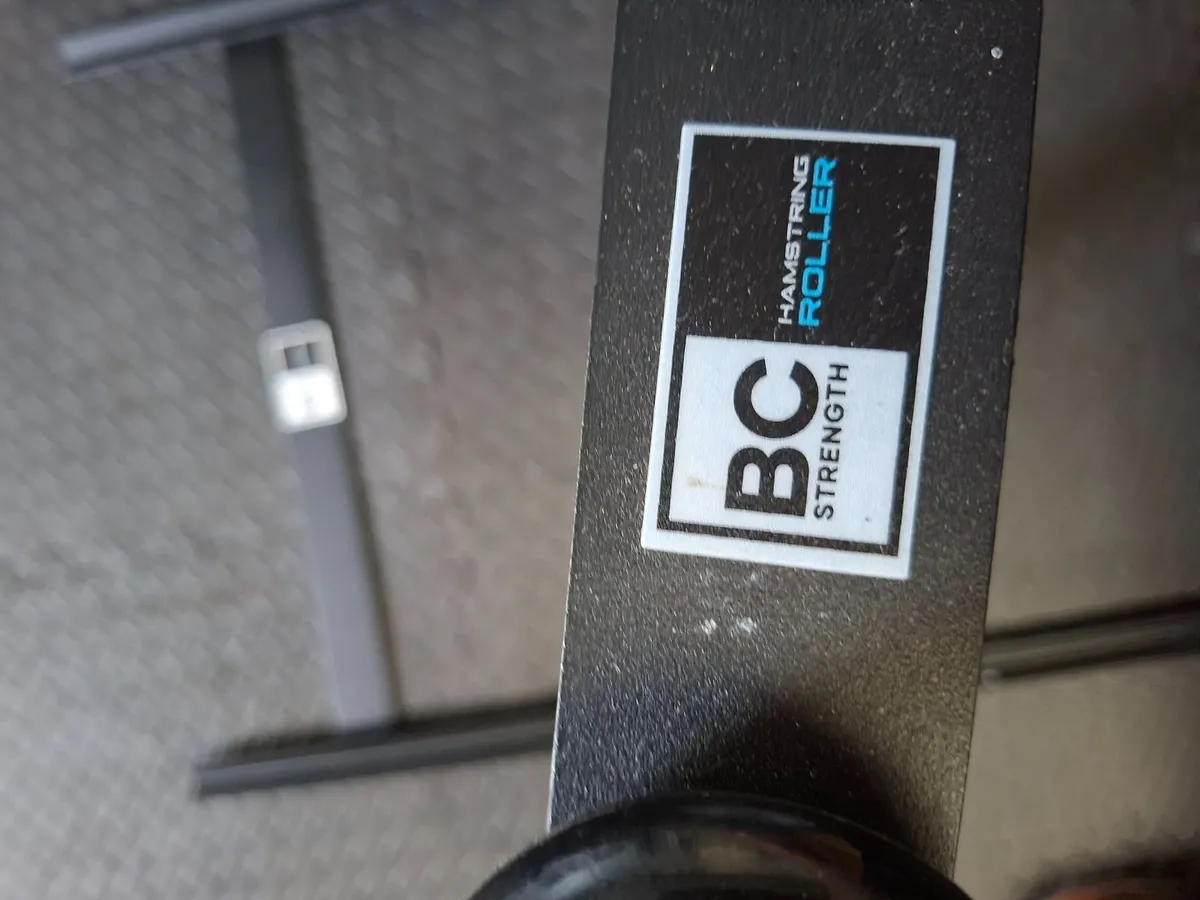 hamstring / ab roller with track - Image 2