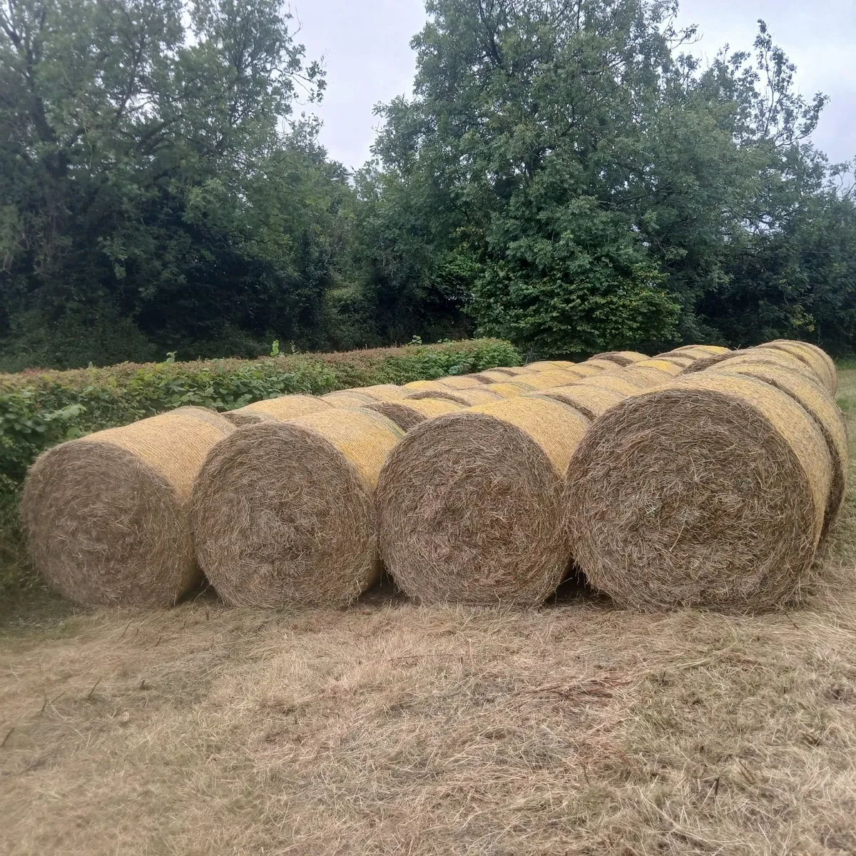 4x4 Round bales of hay