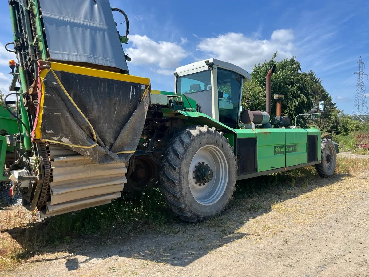 Selfproppled potato harvester Avr quadra - Image 2