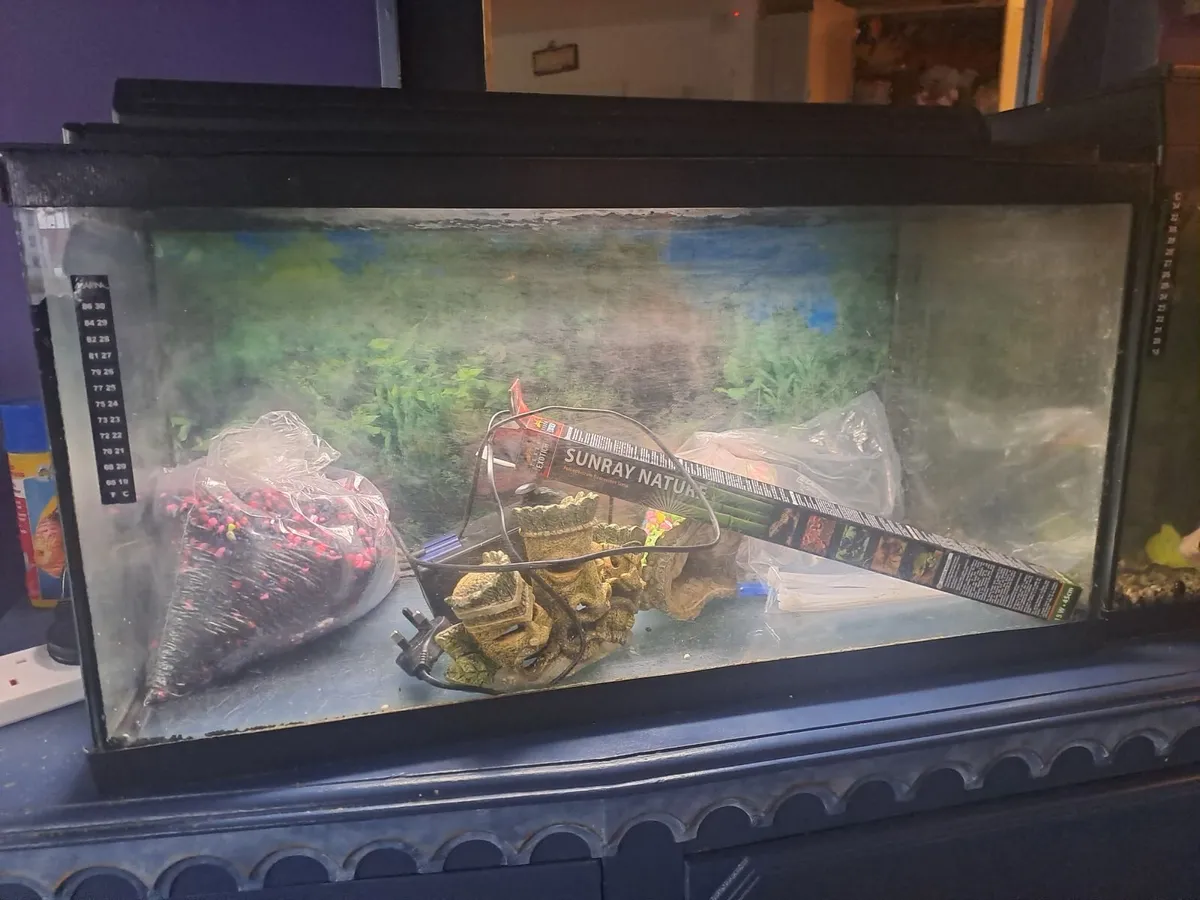 aquariums - Image 3