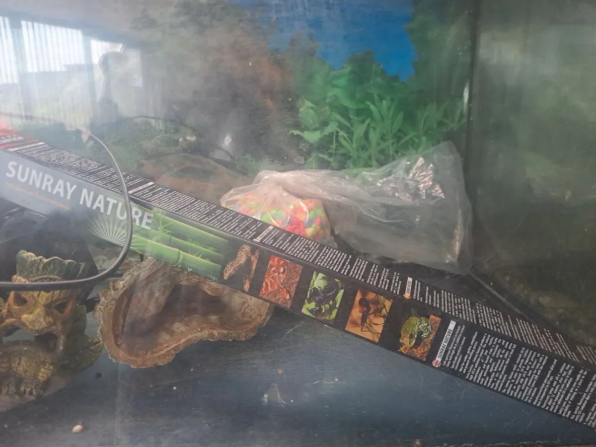 aquariums - Image 4