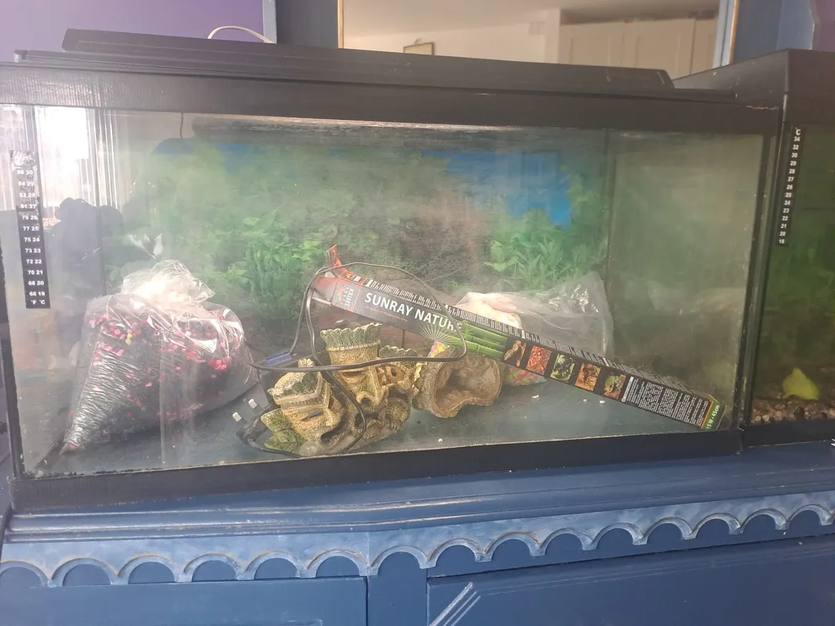 aquariums - Image 1