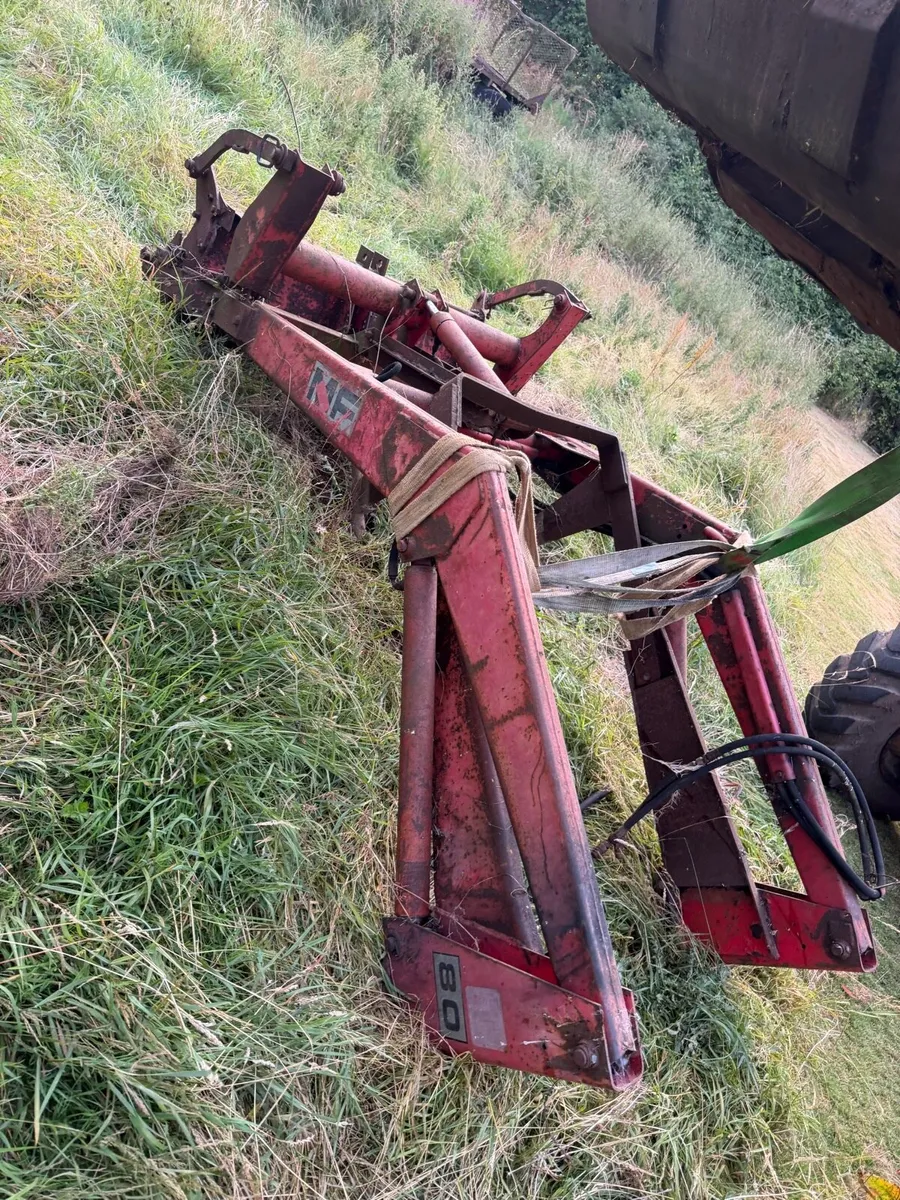 farm clearance - Image 4