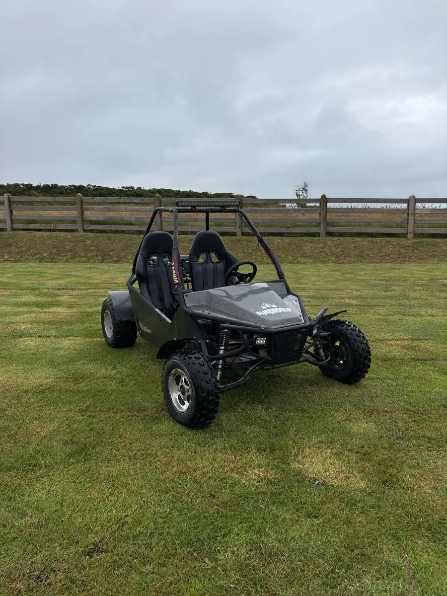 200cc Ripster Buggy - Image 2