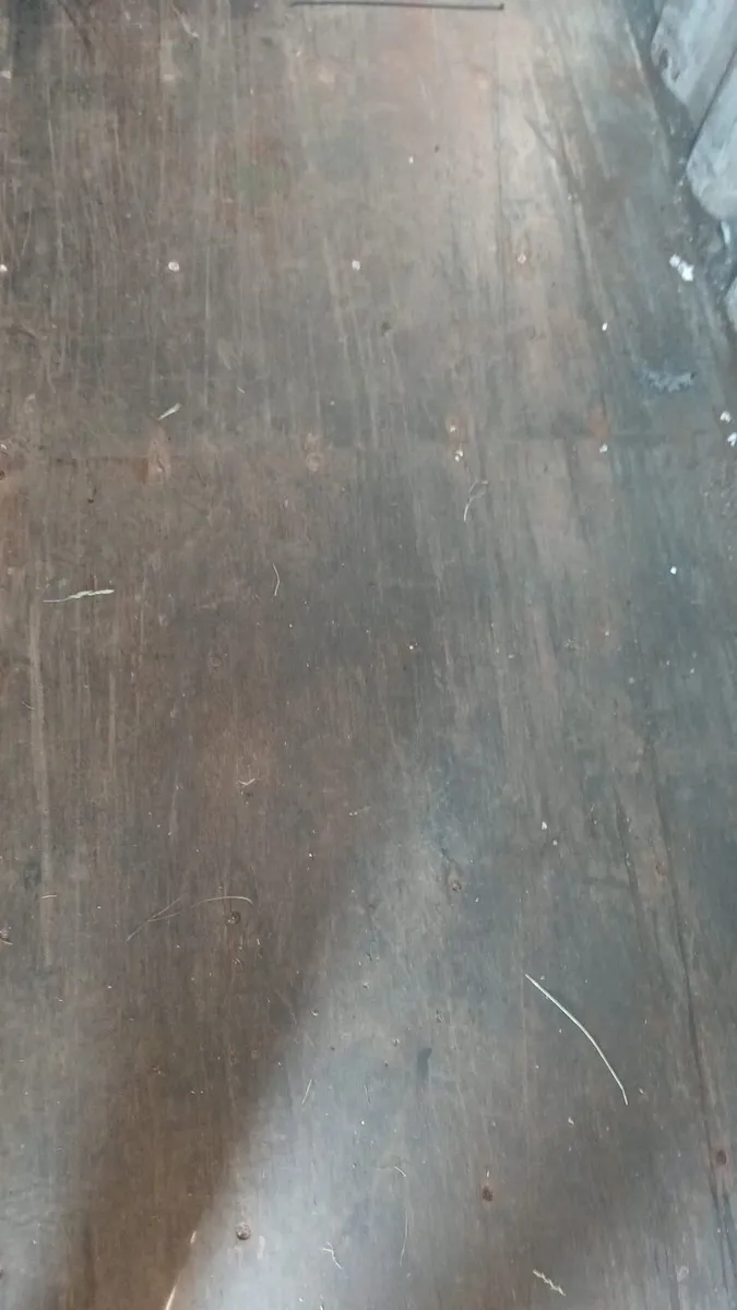 20Ft Shipping Container - Image 3