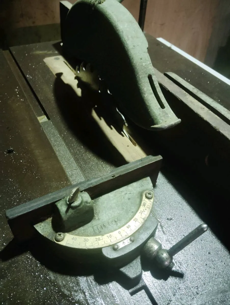 Wadkin Twin resaw - Image 4