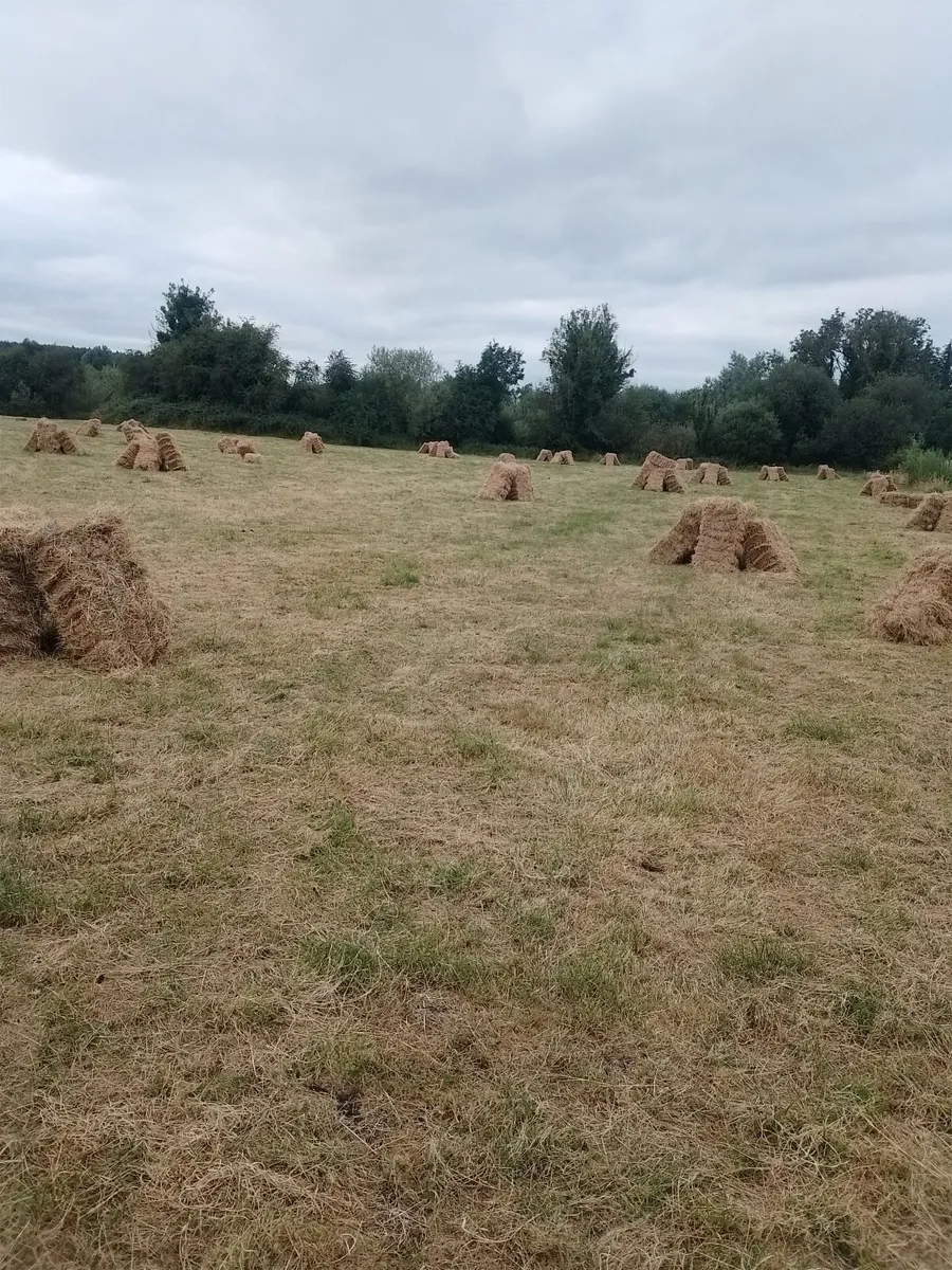 Good quality square bales