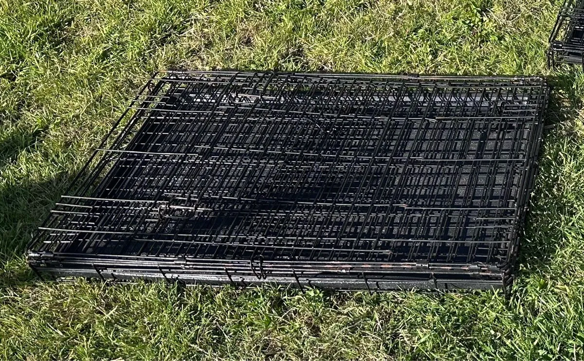 Dog Crate - Image 2