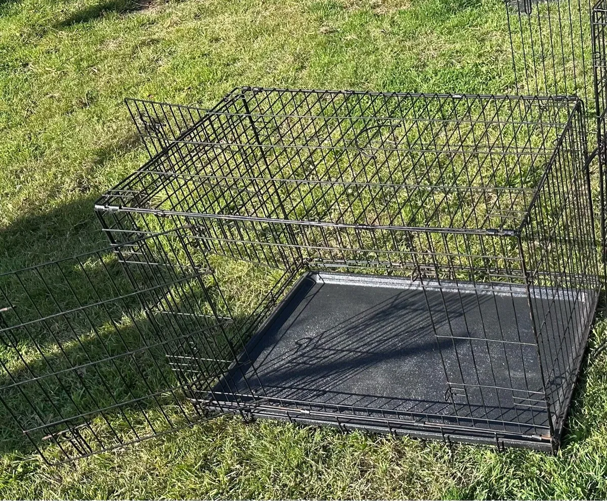 Dog Crate - Image 1