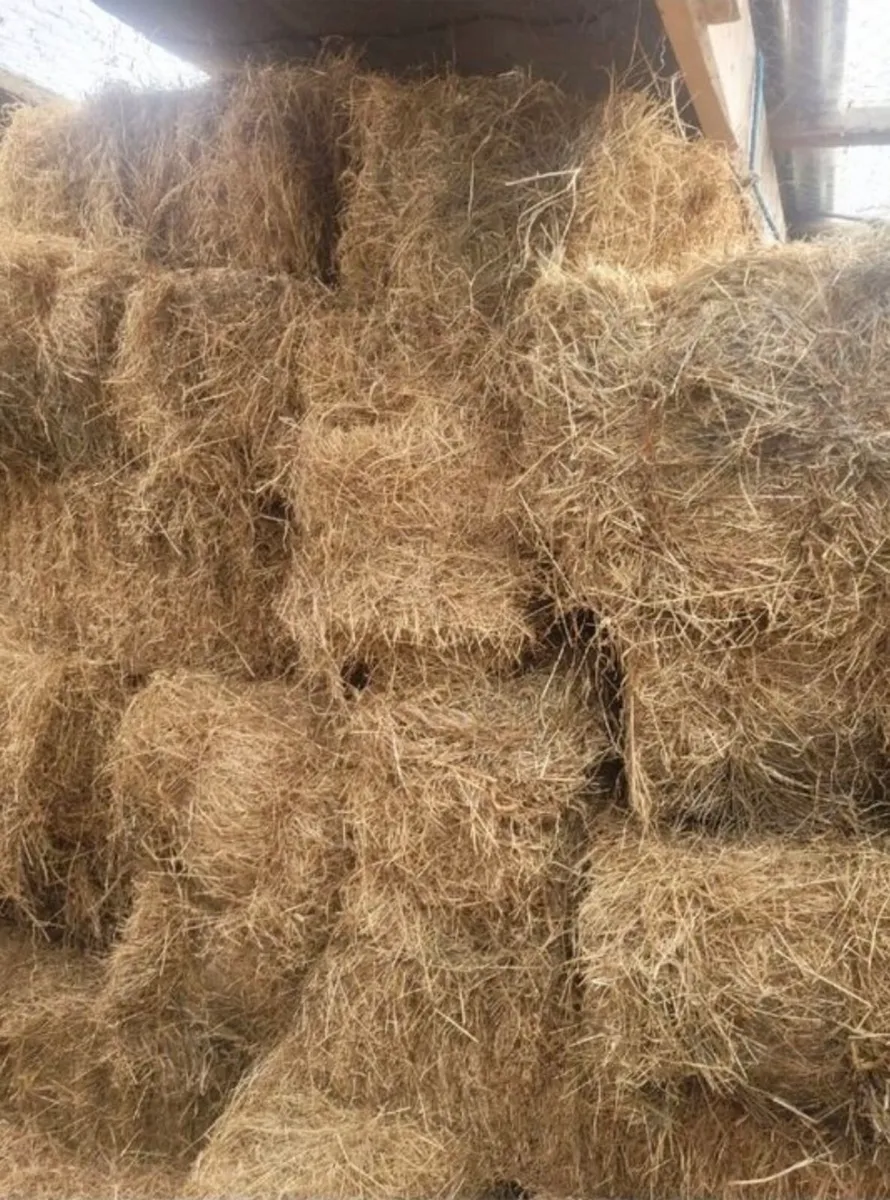 Small hay bales
