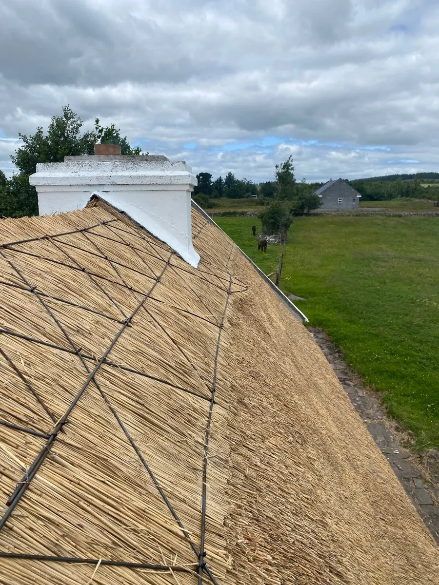 Roof Thatcher  Available ( Tuidoir) - Image 1