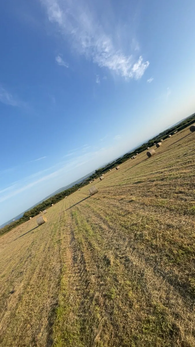 Round and square bale hay for sale - Image 4