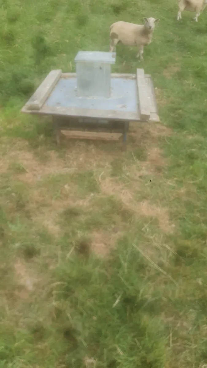 2 lamb creep-feeders - Image 1