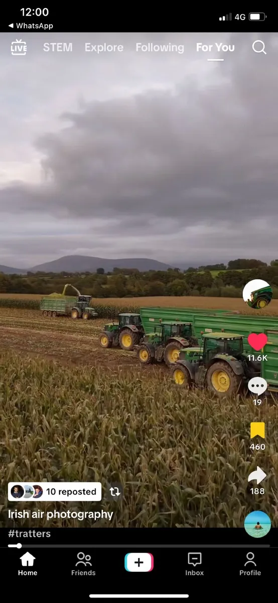 Beet /maize mix in bales - Image 3