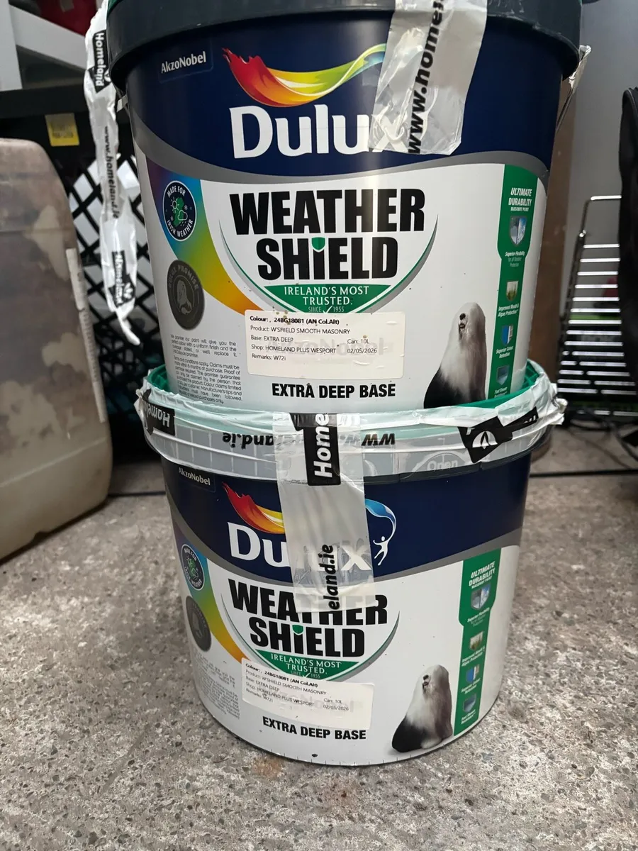 Exterior paint - Image 1