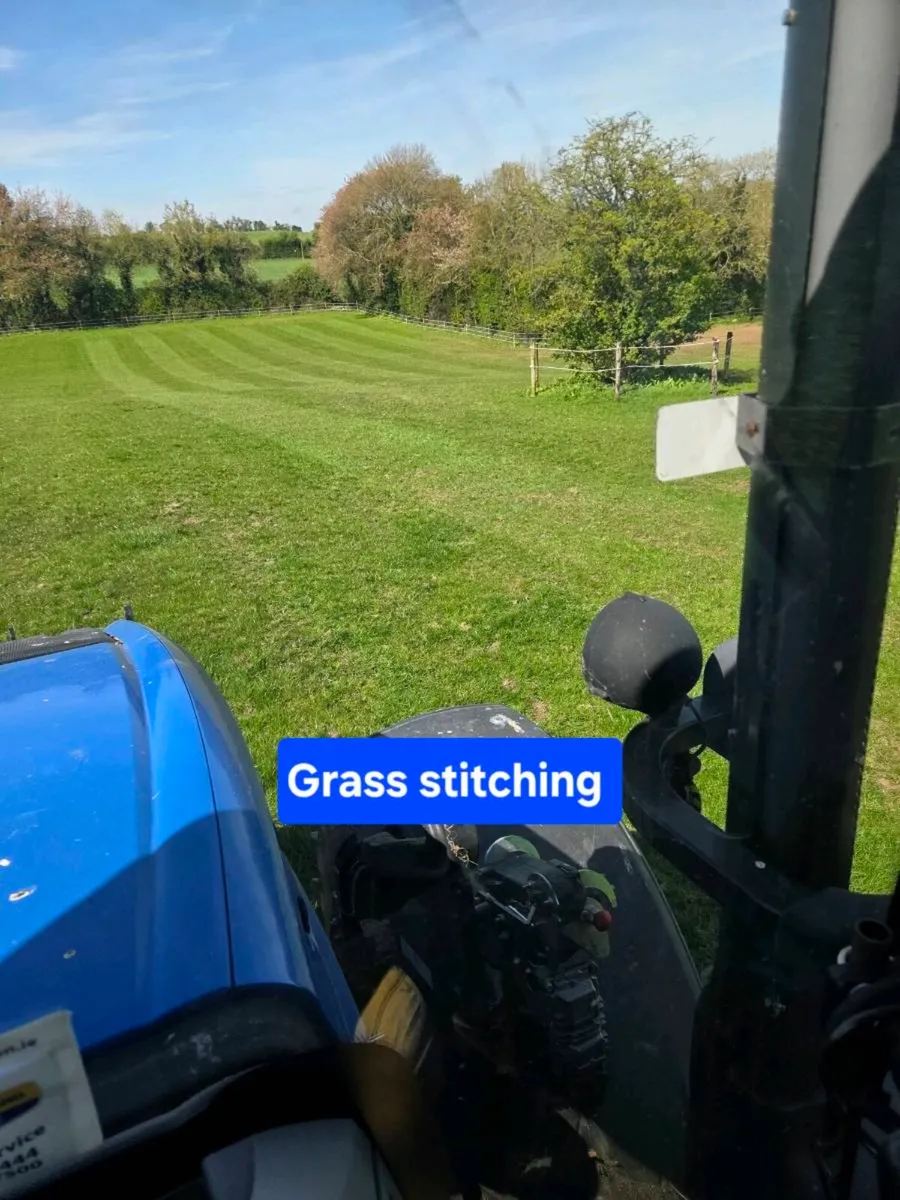 Reseeding / Grass stitching - Image 4