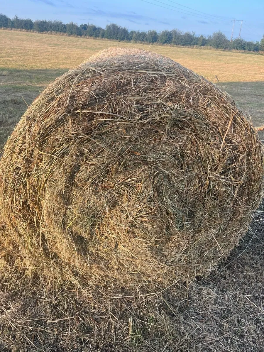 Bales of Bedding - Image 1