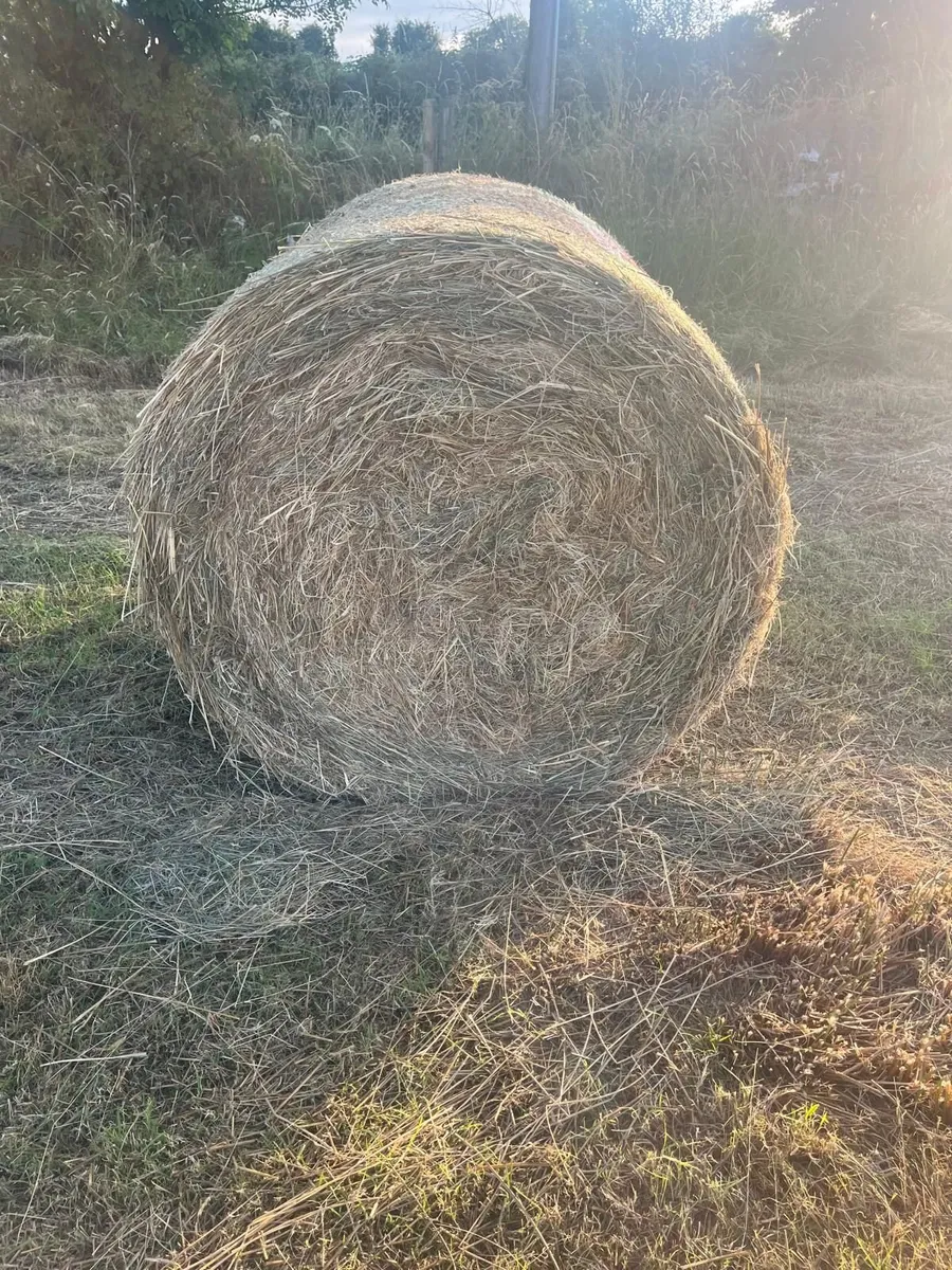 Bales of Bedding - Image 2
