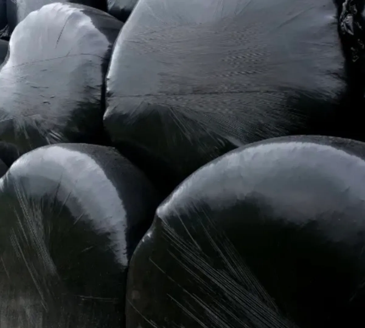 Silage bales