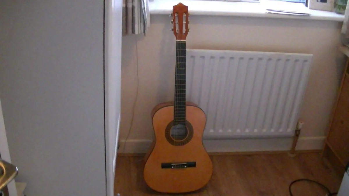 Herald Guitar - Image 1