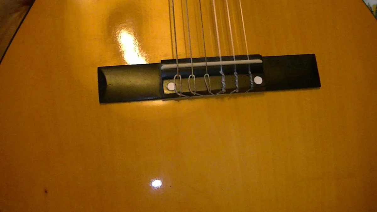 Herald Guitar - Image 3