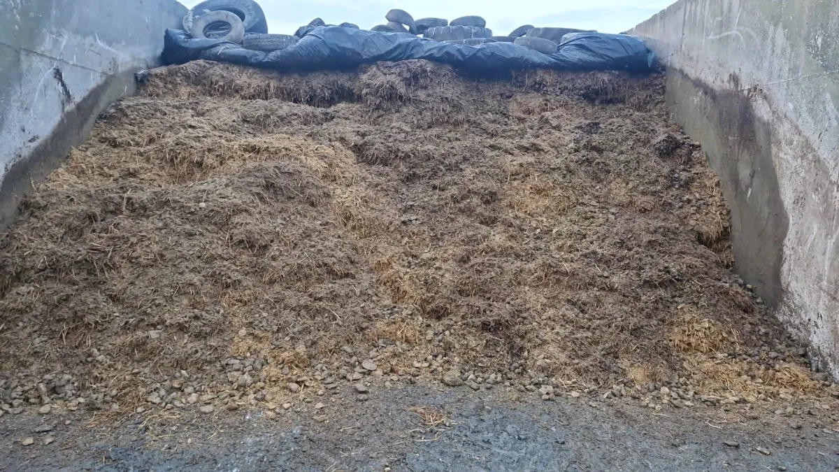 Maize Beet Pulp Mix - Image 1