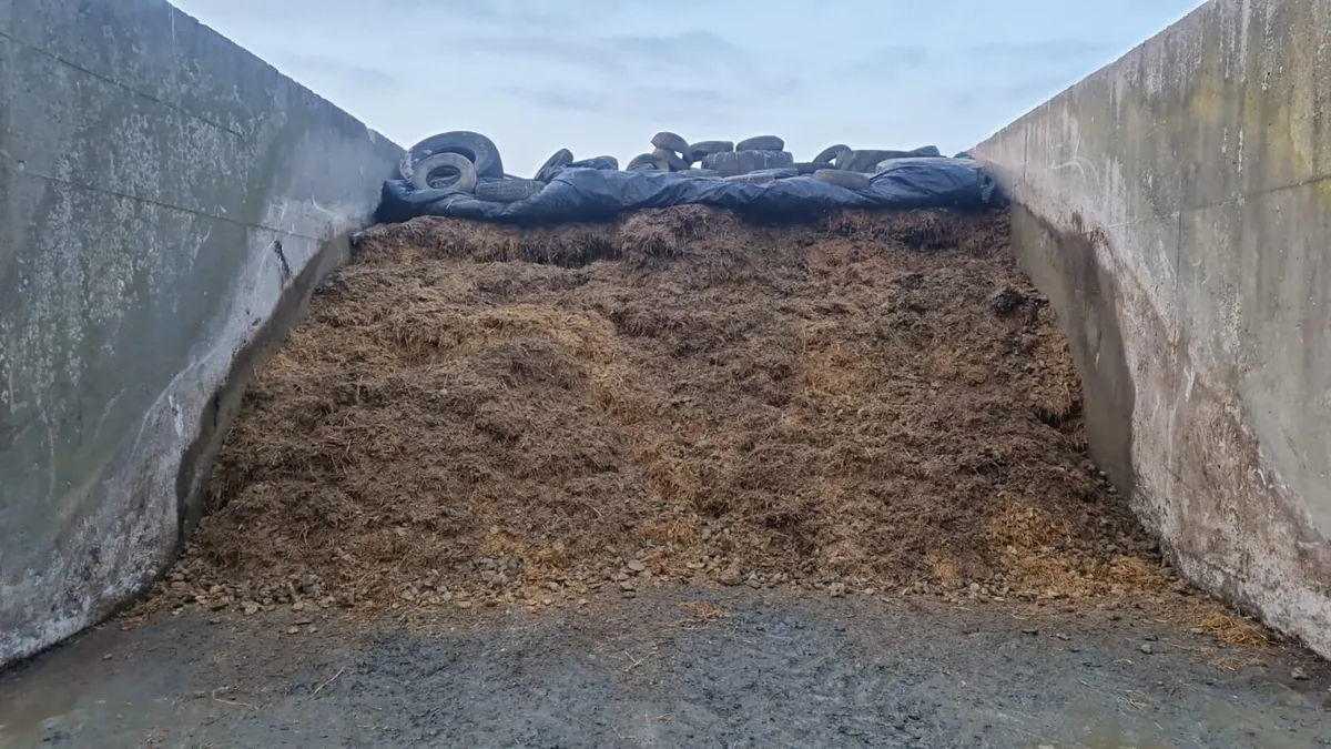 Maize Beet Pulp Mix - Image 2