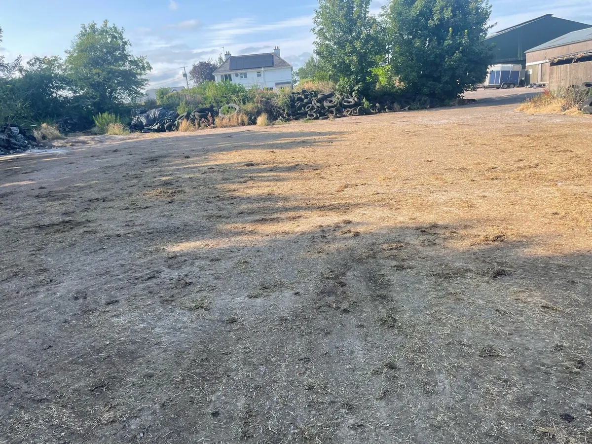 Rental yard and yard - Image 3